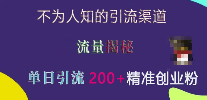 不为人知的引流渠道，流量揭秘，实测单日引流200+精准创业粉【揭秘】-彼飞网创