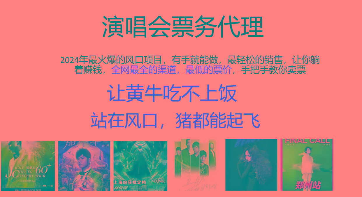 2024年最火爆风口项目，演唱会票务代理，日入2000+，一部手机就能搞定！-彼飞网创