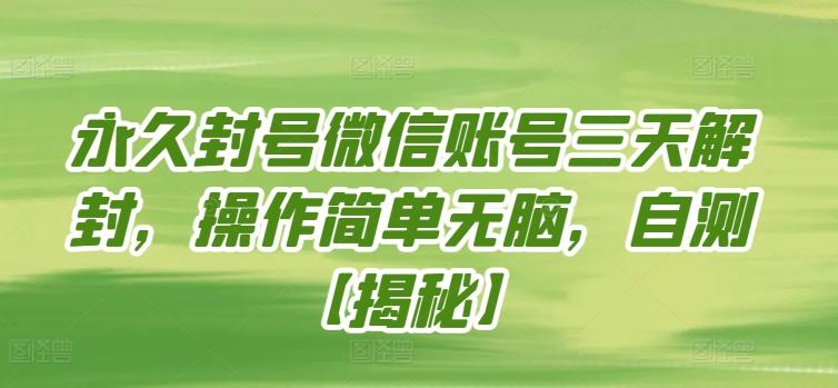 永久封号微信账号三天解封，操作简单无脑，自测【揭秘】-彼飞网创