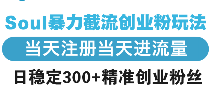 Soul暴力截流创业粉玩法，当天注册当天进流量，日稳定300+精准创业粉丝-彼飞网创