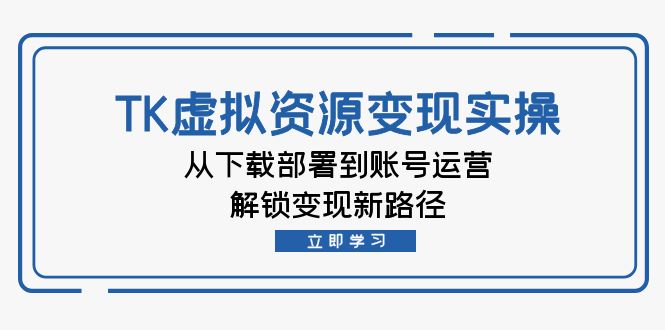 TK虚拟资料变现实操：从下载部署到账号运营，解锁变现新路径-彼飞网创