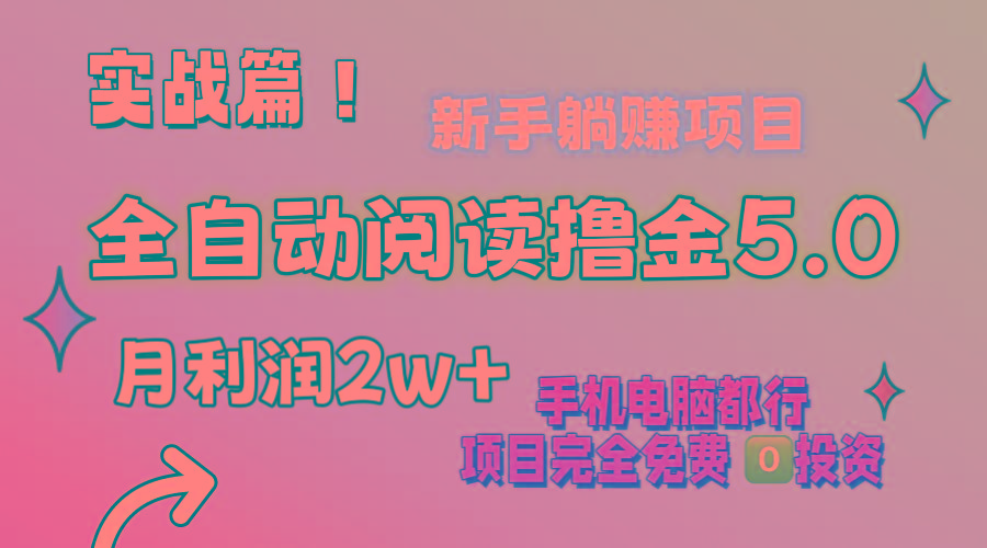 小说全自动阅读撸金5.0 操作简单 可批量操作 零门槛！小白无脑上手月入2w+-彼飞网创