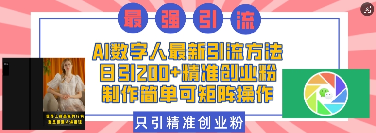 AI数字人最新引流方法，日引200+精准创业粉，制作简单可矩阵操作-彼飞网创