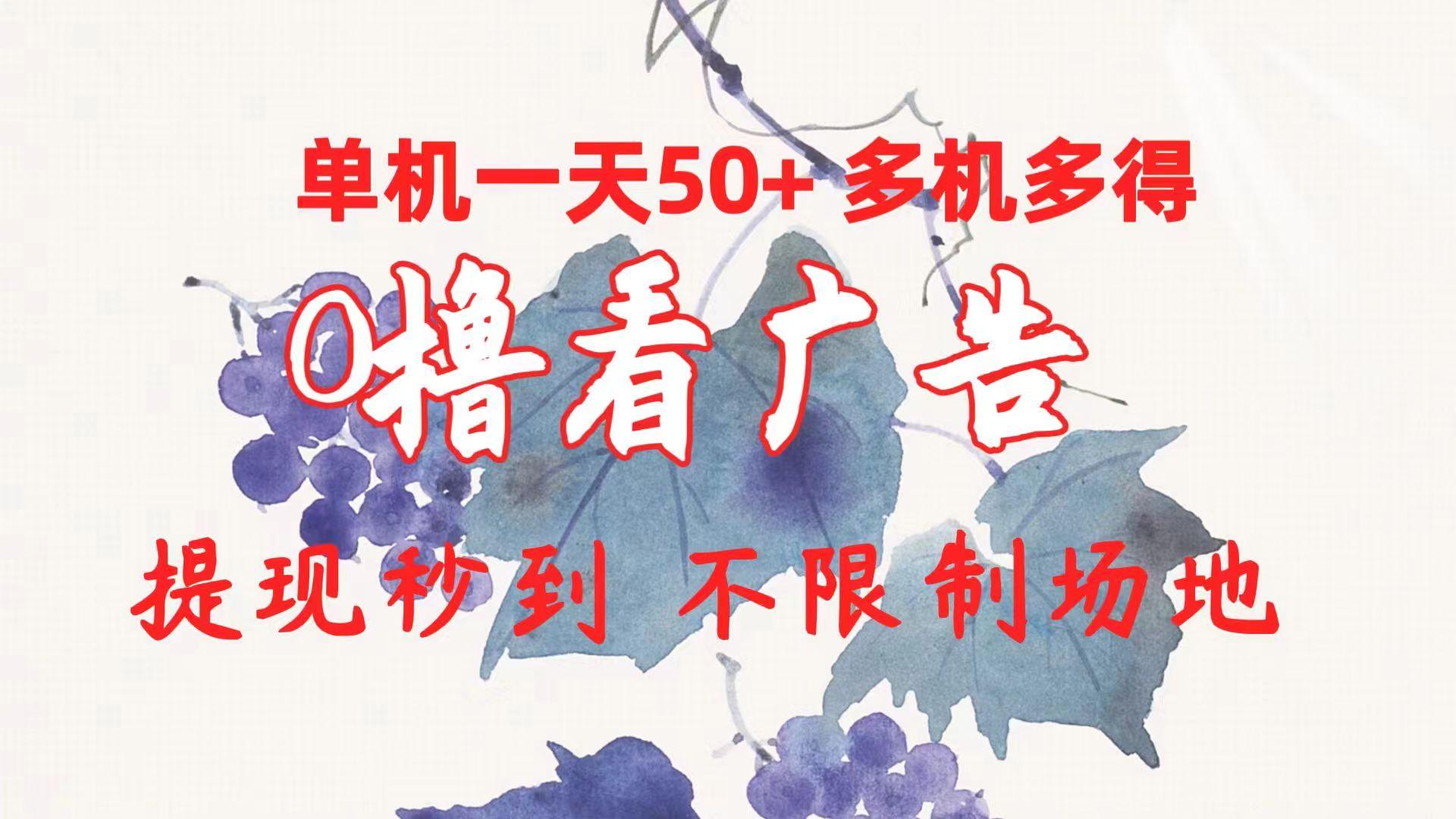 0撸看广告 单机一天50+多机多得 提现秒到 不限制场地操作-彼飞网创