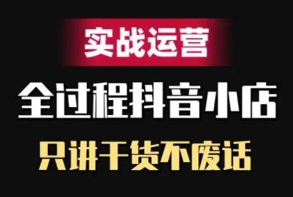 抖音小店精细化实战运营，只讲干货不废话-彼飞网创
