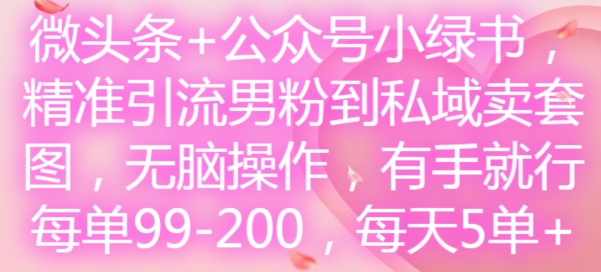 微头条+公众号小绿书，精准引流男粉到私域卖套图，无脑操作，有手就行，每单99-200，每天5单-彼飞网创
