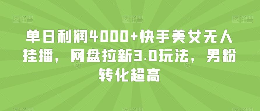 单日利润4000+快手美女无人挂播，网盘拉新3.0玩法，男粉转化超高【揭秘】-彼飞网创