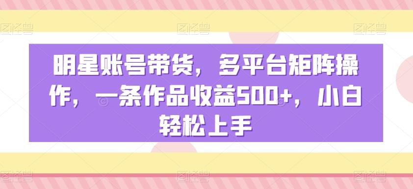 明星账号带货，多平台矩阵操作，一条作品收益500+，小白轻松上手【揭秘】-彼飞网创