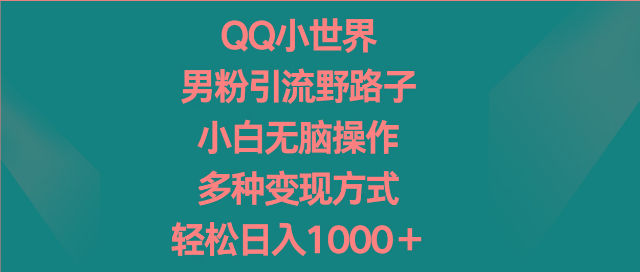 QQ小世界男粉引流野路子，小白无脑操作，多种变现方式轻松日入1000＋-彼飞网创