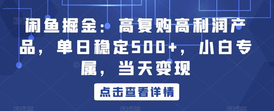 闲鱼掘金：高复购高利润产品，单日稳定500+，小白专属，当天变现-彼飞网创