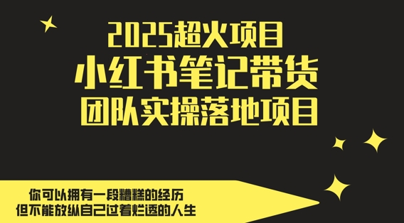 2025超火项目，副业最佳选择，小红书笔记带货团队实操落地项目，，轻松日入5张-彼飞网创