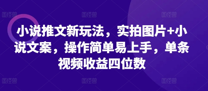 小说推文新玩法，实拍图片+小说文案，操作简单易上手，单条视频收益四位数-彼飞网创
