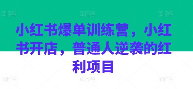 小红书爆单训练营，小红书开店，普通人逆袭的红利项目-彼飞网创