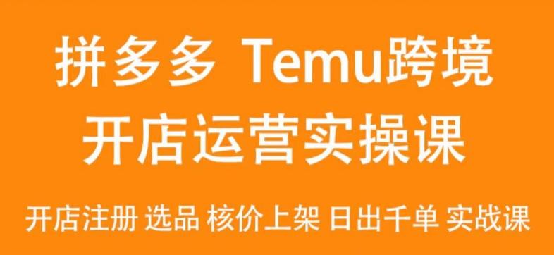 2024Temu最新玩法，Temu跨境开店运营实操课，开店注册/选品/核价上架/日出千单实战课-彼飞网创