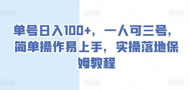 单号日入100+，一人可三号，简单操作易上手，实操落地保姆教程【揭秘】-彼飞网创