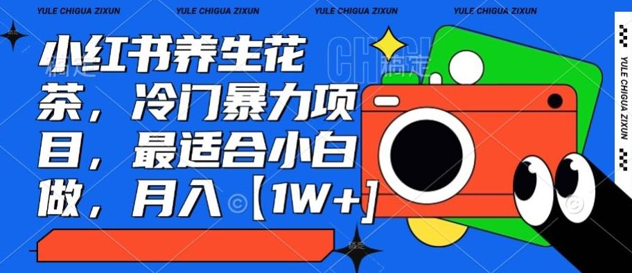 小红书养生花茶，冷门暴力项目，最适合小白做，月入【1W+】-彼飞网创