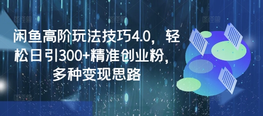 闲鱼高阶玩法技巧4.0，轻松日引300+精准创业粉，多种变现思路-彼飞网创