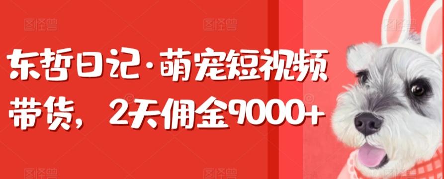 东哲日记·萌宠短视频带货，2天佣金9000+-彼飞网创