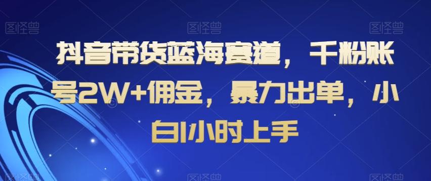 抖音带货蓝海赛道，千粉账号2W+佣金，暴力出单，小白1小时上手【揭秘】-彼飞网创
