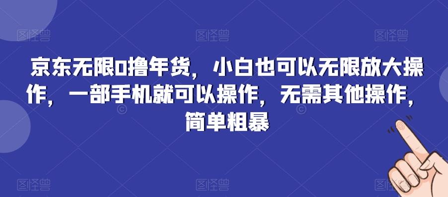 京东无限0撸年货，小白也可以无限放大操作，一部手机就可以操作，无需其他操作，简单粗暴-彼飞网创