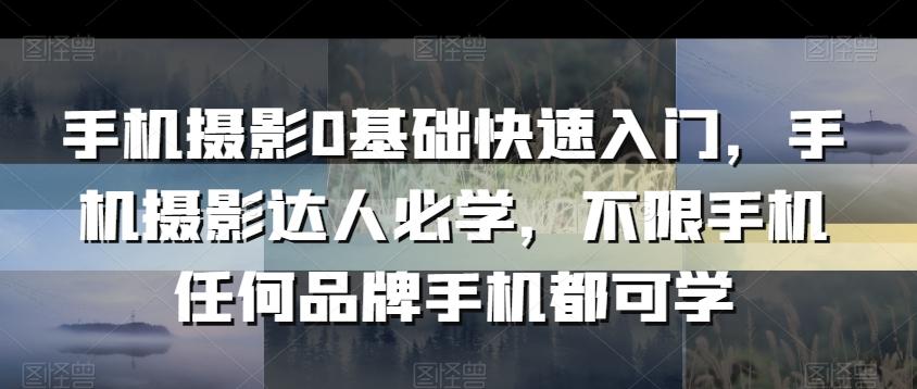 手机摄影0基础快速入门，手机摄影达人必学，不限手机任何品牌手机都可学-彼飞网创