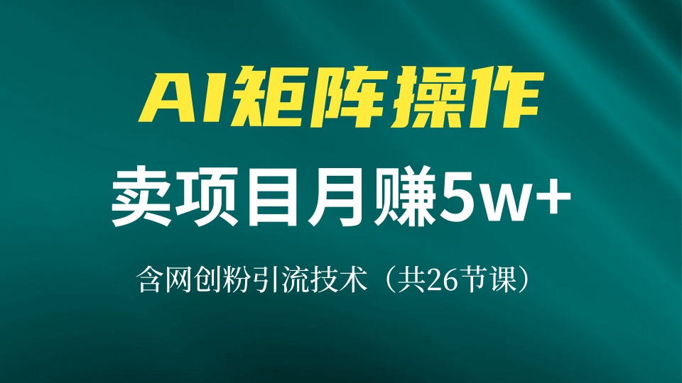 网创IP打造课，借助AI卖项目月赚5万+，含引流技术(共26节课-彼飞网创