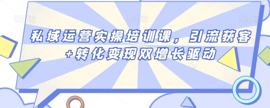 私域运营实操培训课，引流获客+转化变现双增长驱动-彼飞网创