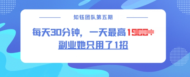 副业她只用了1招，每天30分钟，无脑二创，一天最高1.5k-彼飞网创