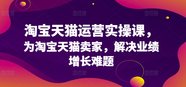 淘宝天猫运营实操课，为淘宝天猫卖家，解决业绩增长难题-彼飞网创
