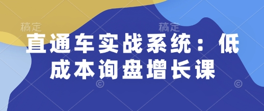 直通车实战系统：低成本询盘增长课，让个人通过技能实现升职加薪，让企业低成本获客，订单源源不断-彼飞网创