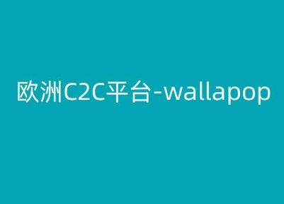 欧洲C2C平台-wallapop-kim跨境电商教程-彼飞网创