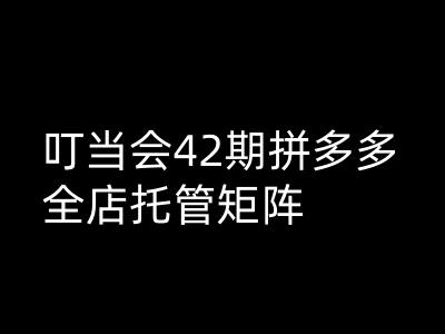 叮当会拼多多打爆班原创高阶技术第42期，拼多多全店托管矩阵-彼飞网创