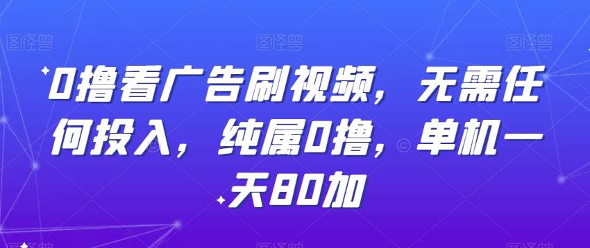 0撸看广告刷视频，无需任何投入，纯属0撸，单机一天80加-彼飞网创