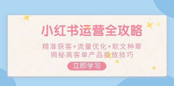小红书运营全攻略，精准获客+流量优化+软文种草，揭秘高客单产品投放技巧-彼飞网创