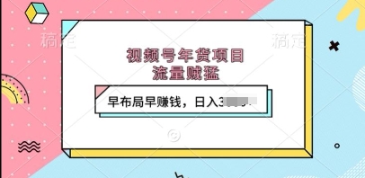 视频号年货项目，流量贼猛，早布局早挣钱，日入上k【揭秘】-彼飞网创