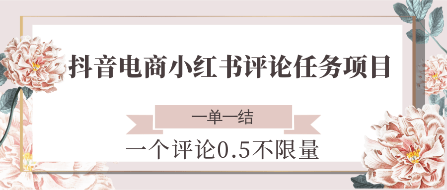 抖音电商小红书评论任务项目，一个评论0.5，一单一结 不限量-彼飞网创