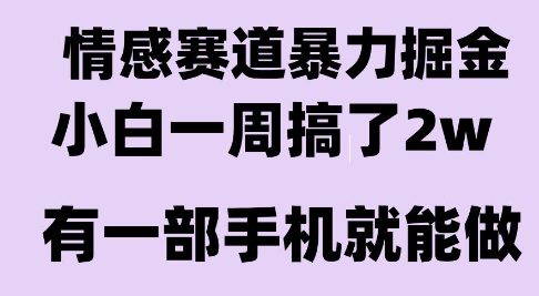 情感暴力掘金项目，新人操作一周挣了2W，长期稳定小白可做【揭秘】-彼飞网创