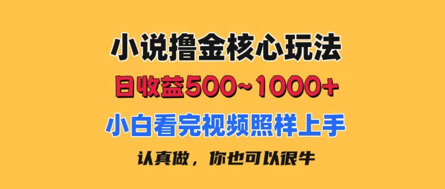 小说撸金核心玩法，日收益500-1000+，小白看完照样上手，0成本有手就行-彼飞网创