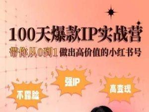 小红书100天爆款IP实战营，带你从0到1做出高价值的小红书号-彼飞网创