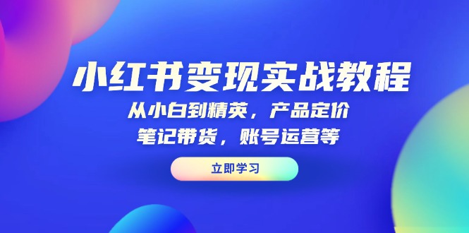 小红书变现实战教程：从小白到精英，产品定价，笔记带货，账号运营等-彼飞网创