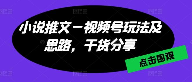 小说推文—视频号玩法及思路，干货分享-彼飞网创
