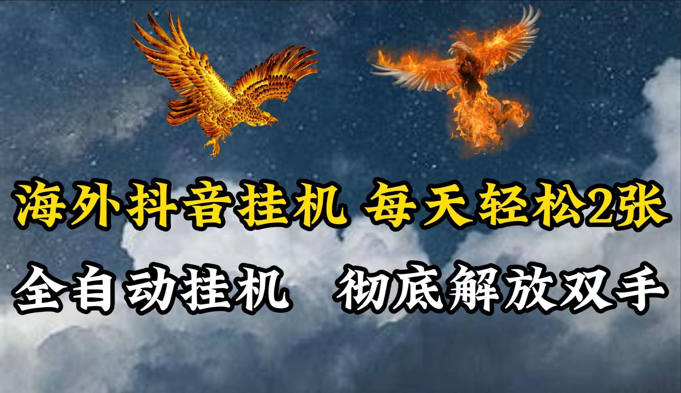 海外抖音挂机，每天轻松2张，全自动挂机，彻底解放双手！-彼飞网创