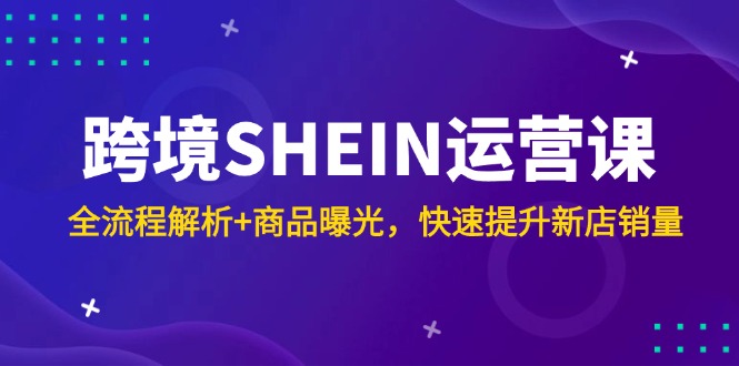 跨境SHEIN运营课，全流程解析+商品曝光，快速提升新店销量-彼飞网创