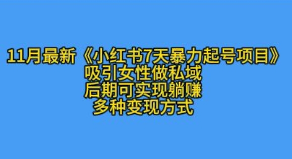 K总部落11月最新小红书7天暴力起号项目，吸引女性做私域【揭秘】-彼飞网创
