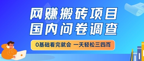 网创搬砖项目，国内问卷调查，小白轻松上手，一天三四张的也不难，干就完了【揭秘】-彼飞网创
