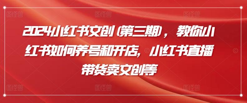 2024小红书文创(第三期)，教你小红书如何养号和开店，小红书直播带货卖文创等-彼飞网创