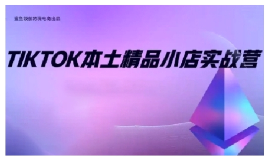 TikTok本土精品小店出海实战营，从入门到高阶，不止0-1!-彼飞网创