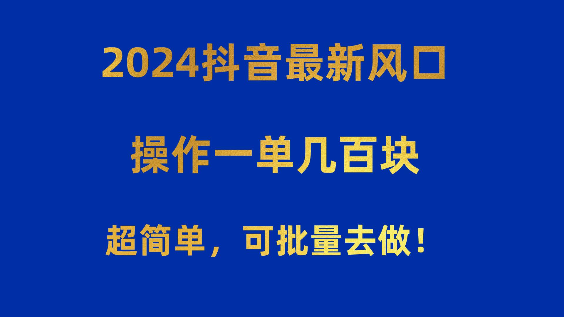 2024抖音最新风口！操作一单几百块！超简单，可批量去做！！！-彼飞网创