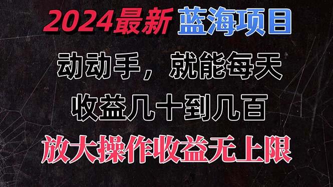 有手就行的2024全新蓝海项目，每天1小时收益几十到几百，可放大操作收…-彼飞网创