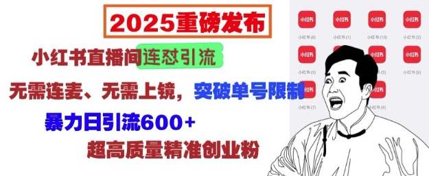 2025重磅发布：小红书直播间连怼引流，无需连麦、无需上镜，突破单号限制，暴力日引流600+-彼飞网创